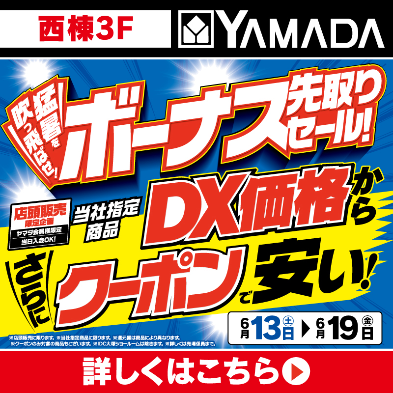 ヤマダデンキ（6/13-19）